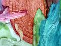 D-Q1385-D-Q1788-P1630250-1 aa